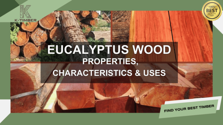 outstanding-characteristics-of-eucalyptus-wood