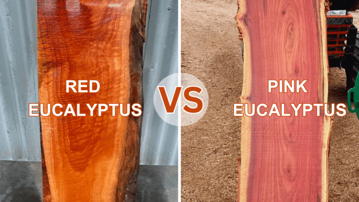 characteristics-of-color-durability-and-workability-of-eucalyptus-wood