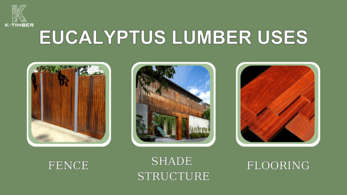 outstanding-characteristics-of-eucalyptus-wood