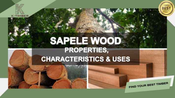 outstanding-characteristics-of-sapele-wood