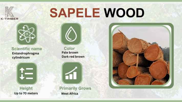 sapele-wood-properties-characteristics-uses