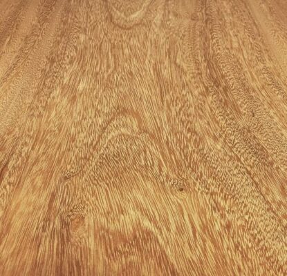 the-difference-between-hardwood-and-softwood