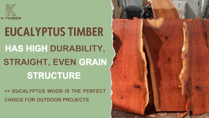 outstanding-characteristics-of-eucalyptus-wood