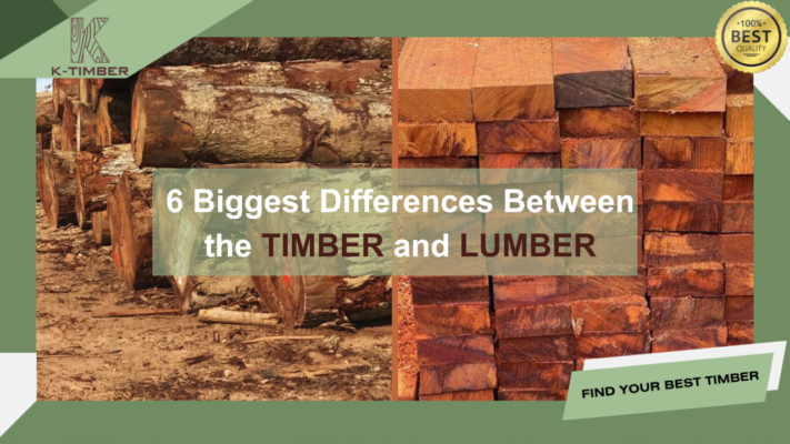 6-biggest-differences-between-the-timber-and-lumber