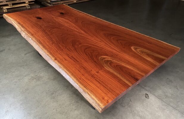 outstanding-characteristics-of-eucalyptus-wood