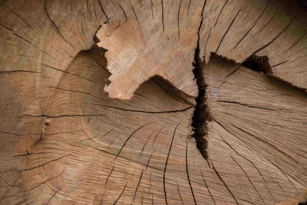 for wholesaler top 11 comon wood defects to avoid 2