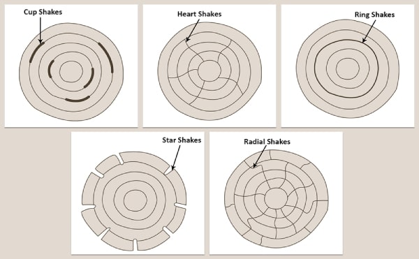 common-wood-defects