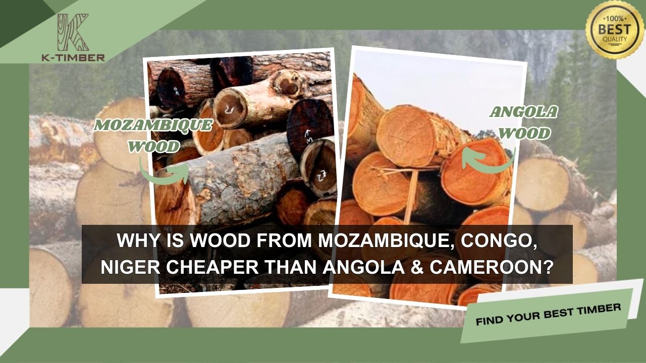 why-is-wood-from-mozambique-congo-niger-cheaper-than-angola-cameroon-1