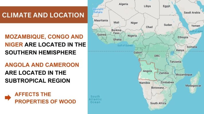 why-is-wood-from-mozambique-congo-niger-cheaper-than-angola-cameroon-2