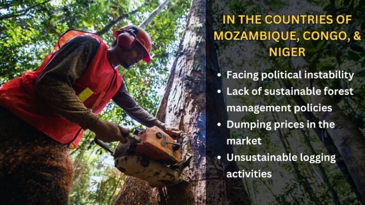 why-is-wood-from-mozambique-congo-niger-cheaper-than-angola-cameroon-4