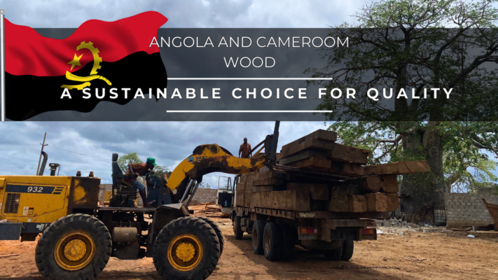 why-is-wood-from-mozambique-congo-niger-cheaper-than-angola-cameroon-5