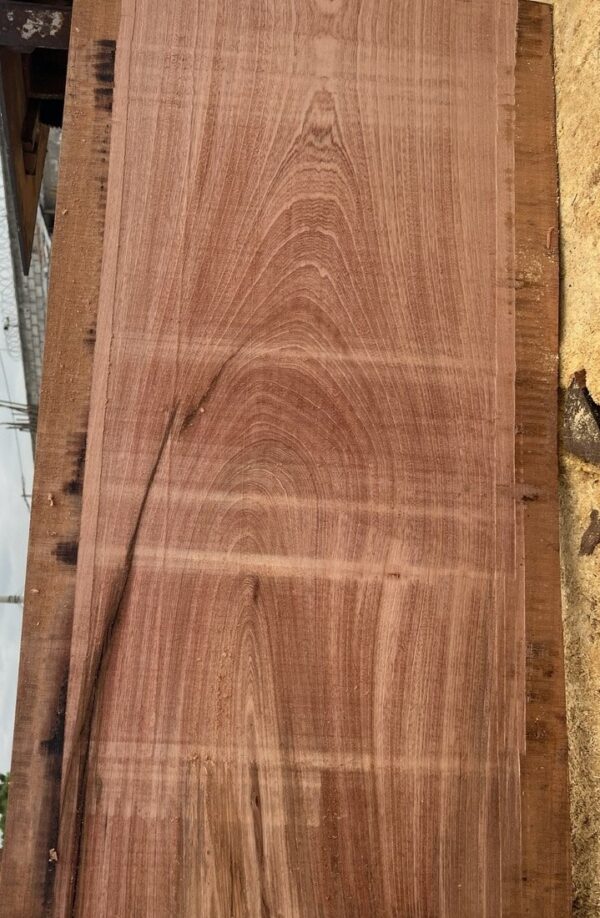 Sapele-Wood