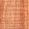 Eucalyptus-Wood