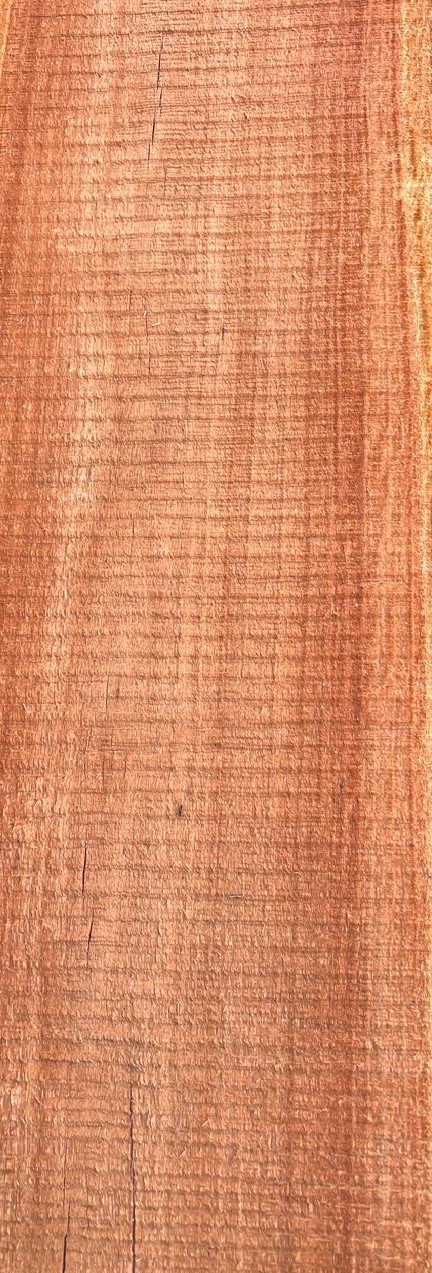 Eucalyptus-Wood