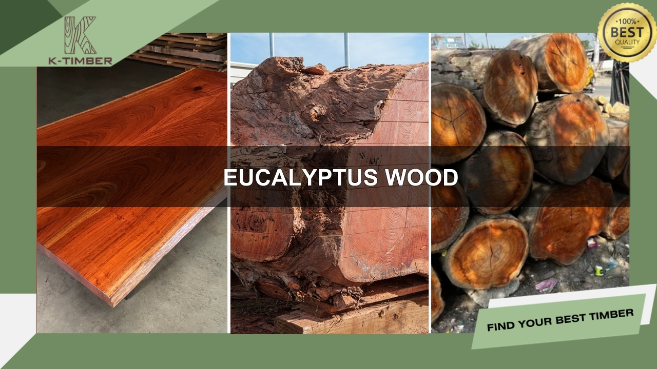 Eucalyptus-wood