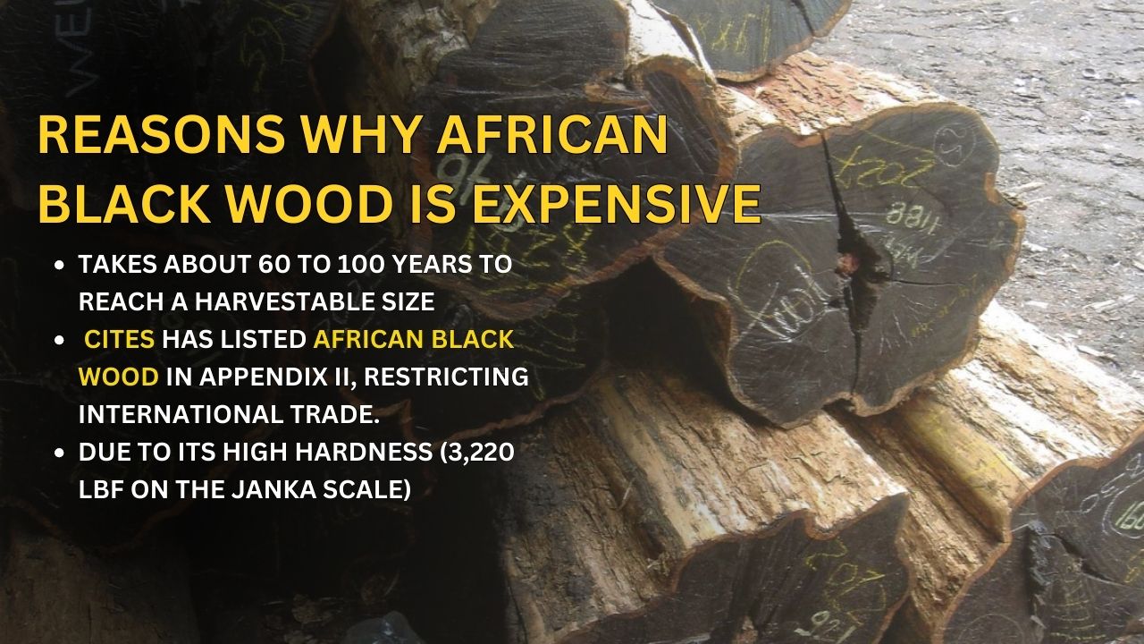 reasons-why-african-wood-expensive