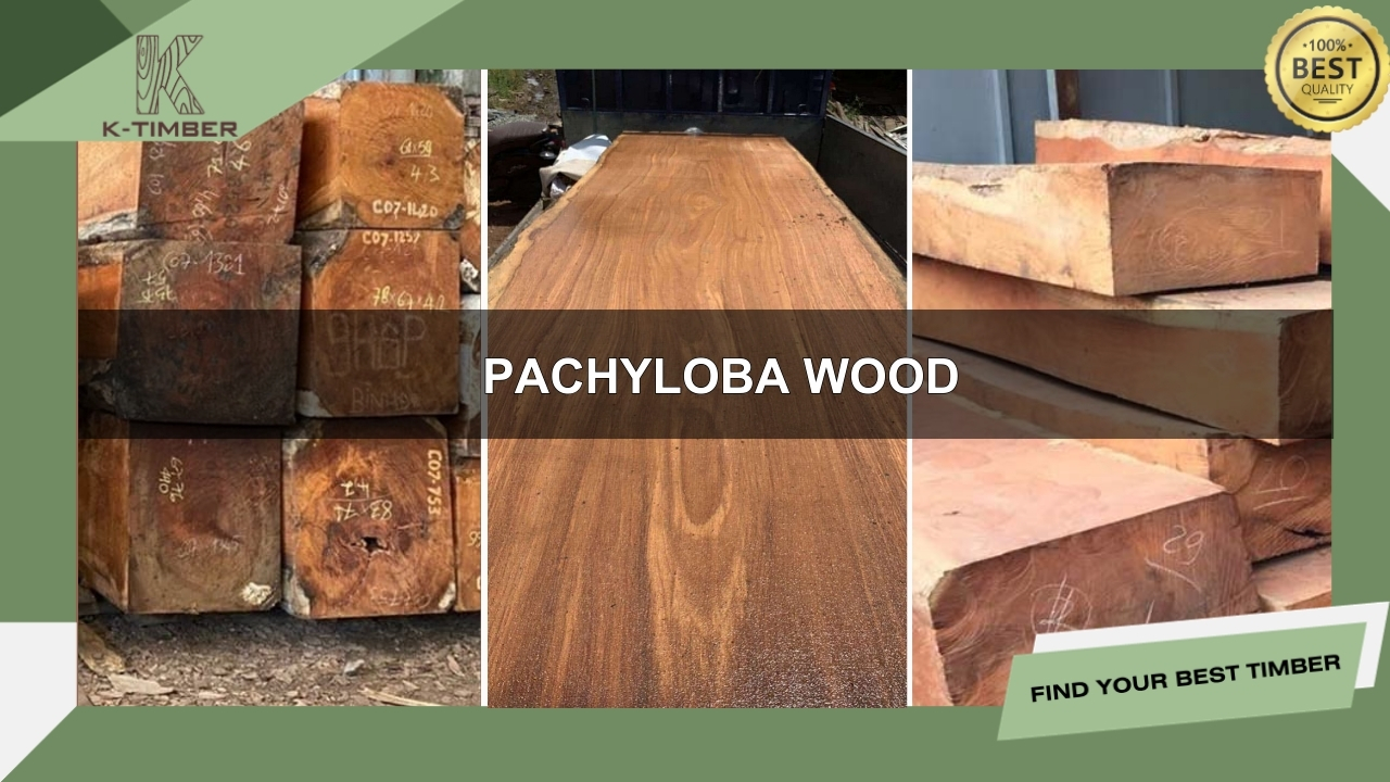 Pachyloba-wood