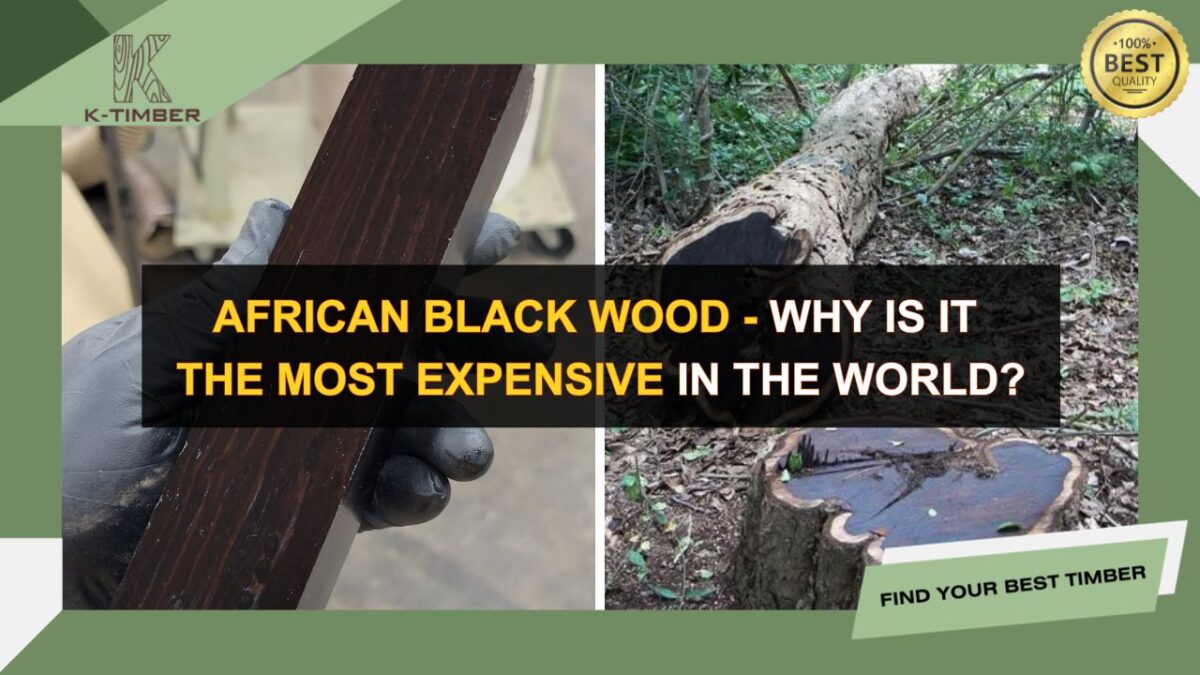 african-black-wood