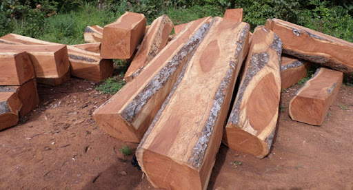 african-wood-price-lists-17