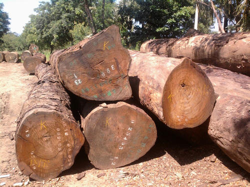 african-wood-price-lists-3