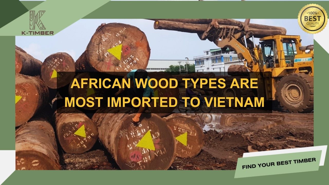 african-wood-types-are-most-imported-to-vietnam-1