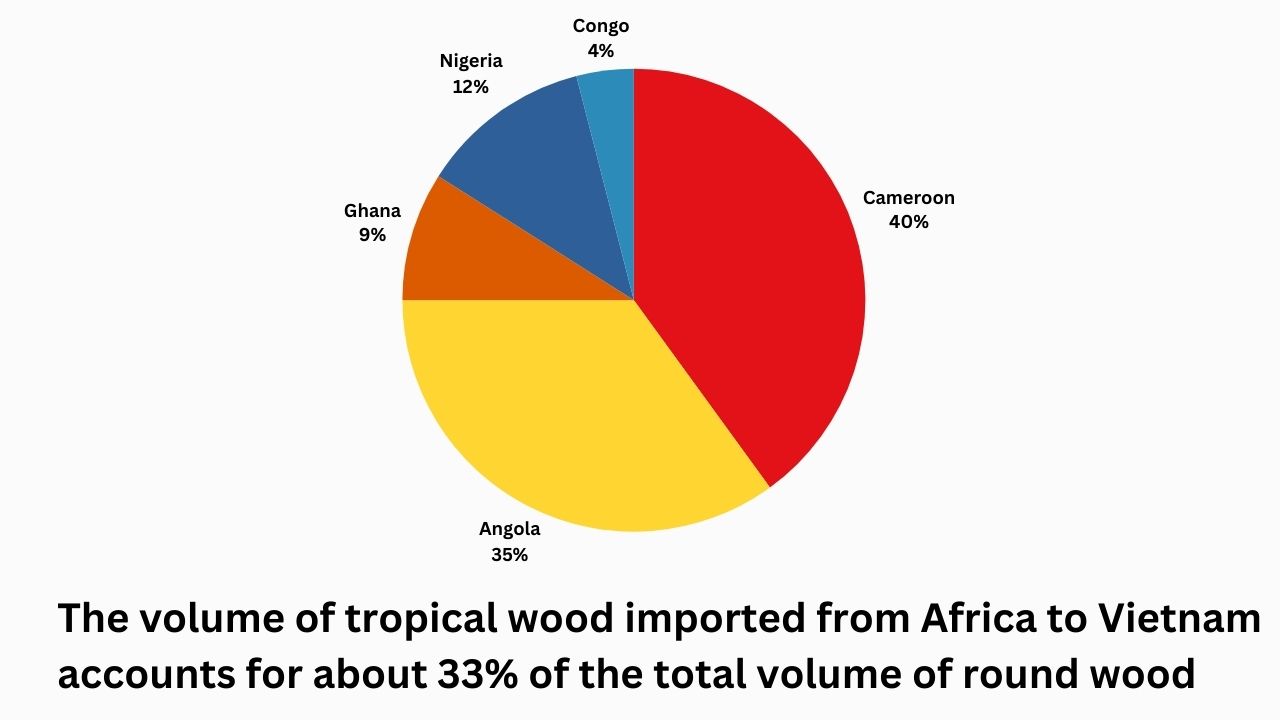 african-wood-types-are-most-imported-to-vietnam-2