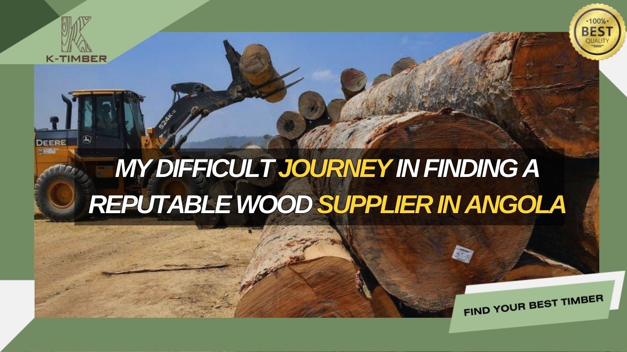my-difficult-journey-in-finding-a-reputable-wood-supplier-in-angola-1