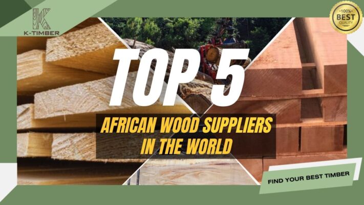 top-5-african-wood-suppliers-in-the-world-1