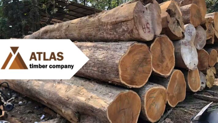 top-5-african-wood-suppliers-in-the-world-5