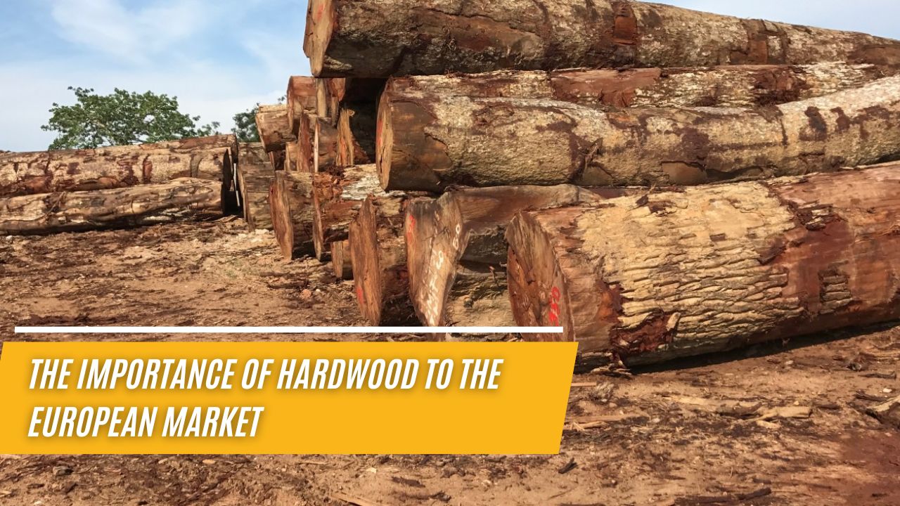 the-importance-of-hardwood