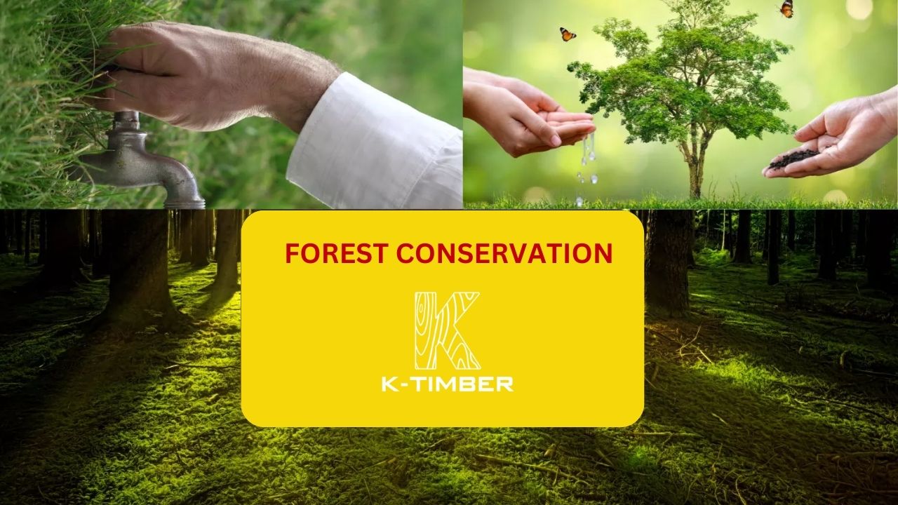 forest-conservation