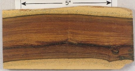 Lignum-Vitae-Wood-Grain