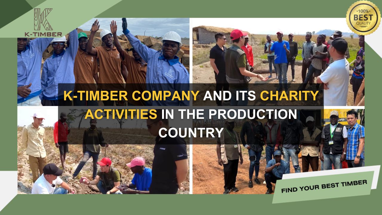 k-timber-company-and-its-charity-activities-in-the-production-country-1