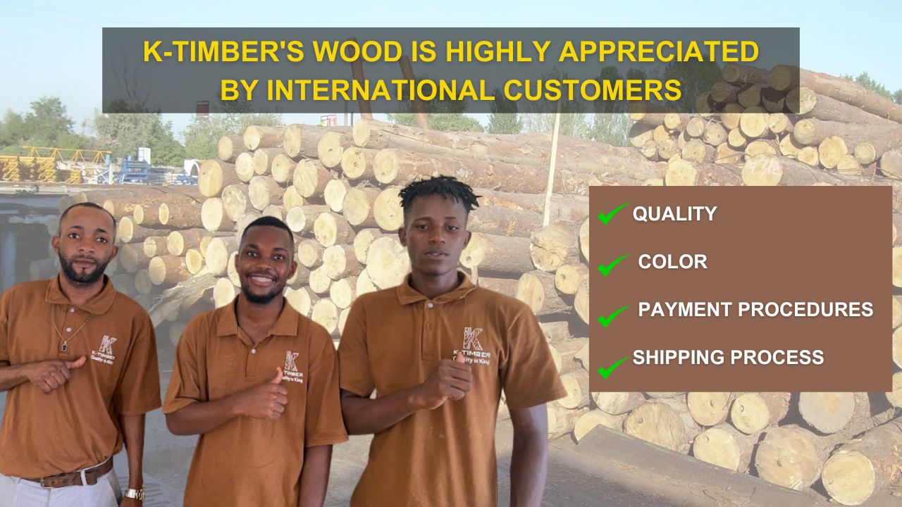 k-timber-company-and-its-charity-activities-in-the-production-country-2