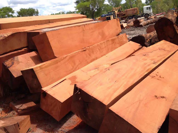 types-of-wood-that-are-popular-in-the-vietnamese-market-4