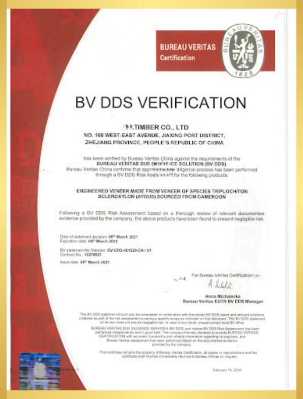 bv dds verification