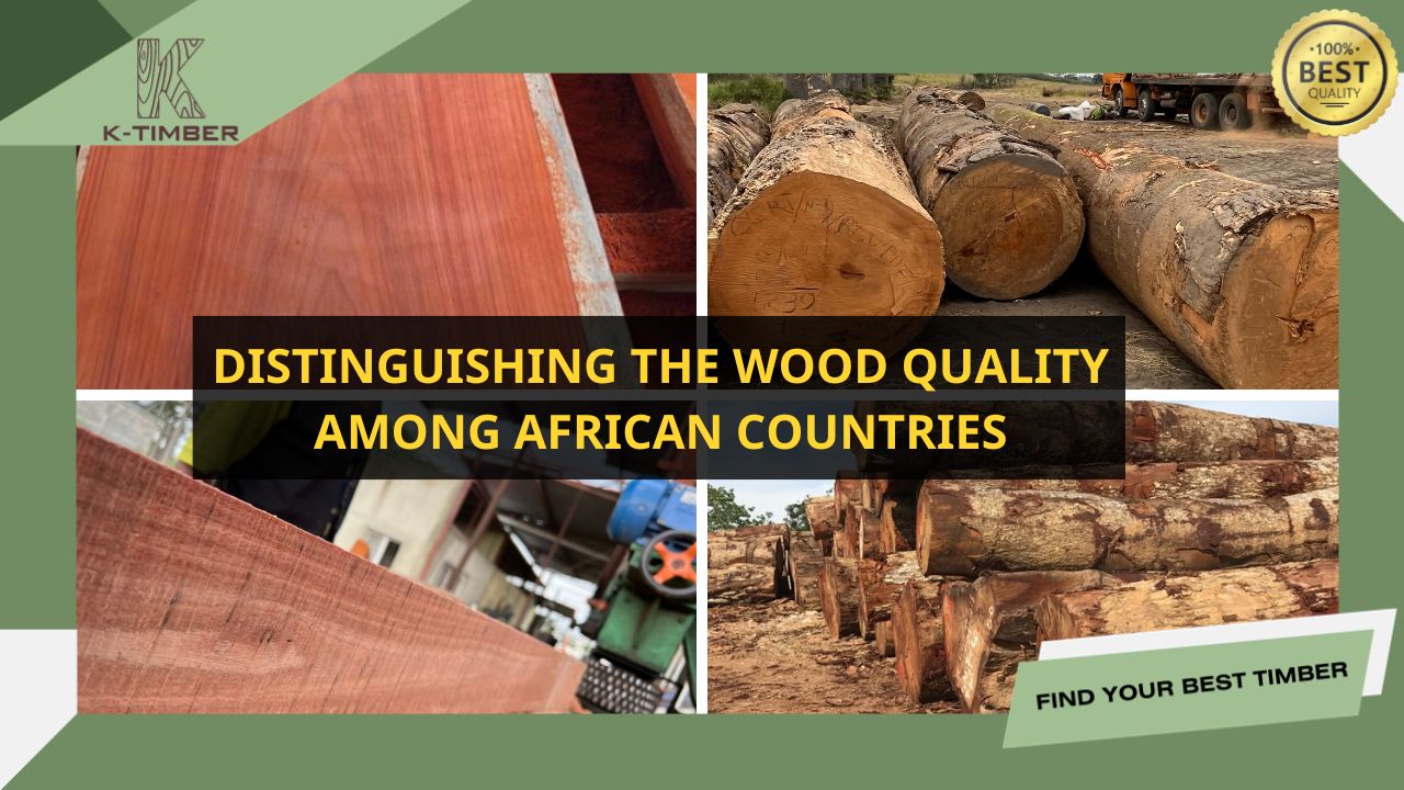 distinguishing-the-wood-quality-among-africa-countries-1