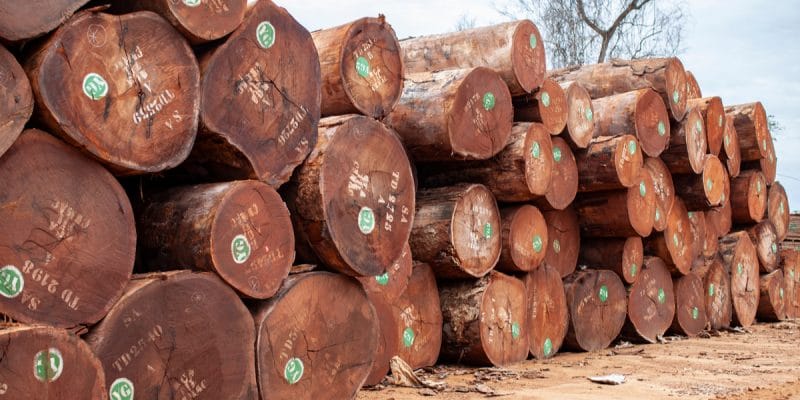distinguishing-the-wood-quality-among-africa-countries-3