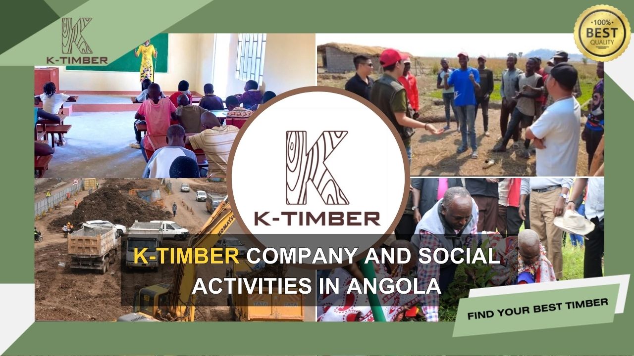k-timber-company-and-social-activities-in-angola-1