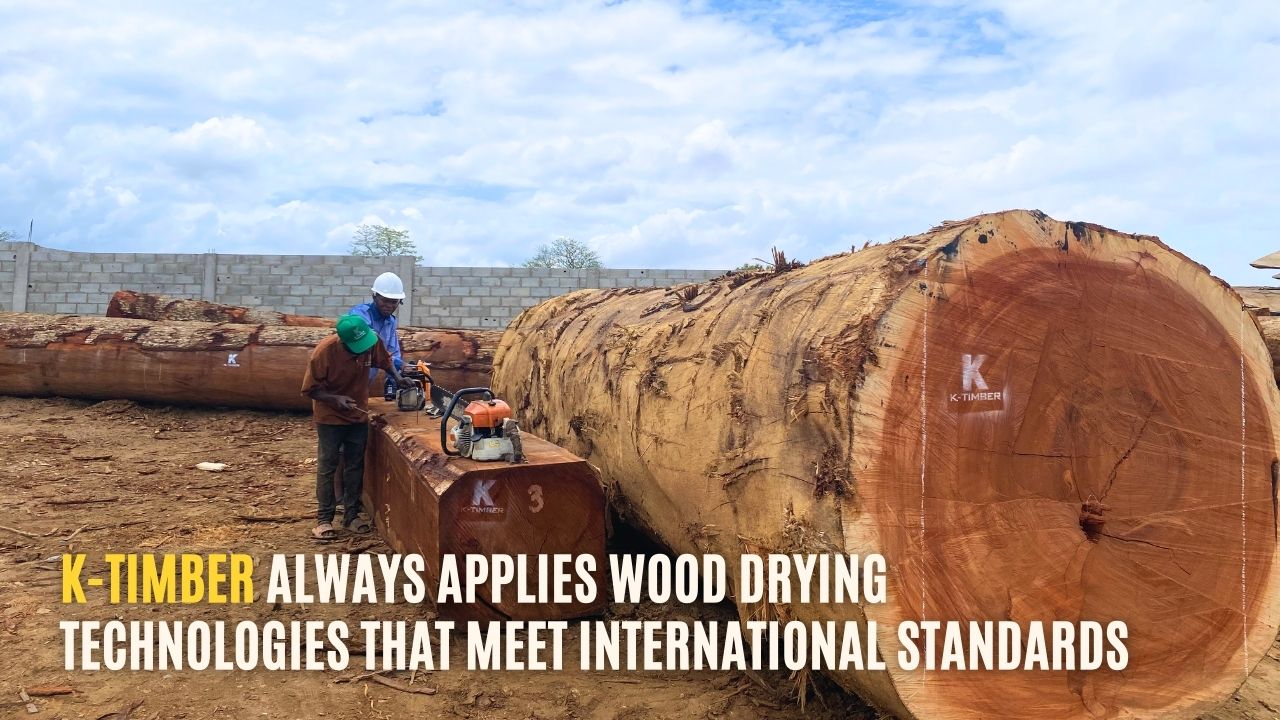 the-secrets-of-natural-wood-processing-6