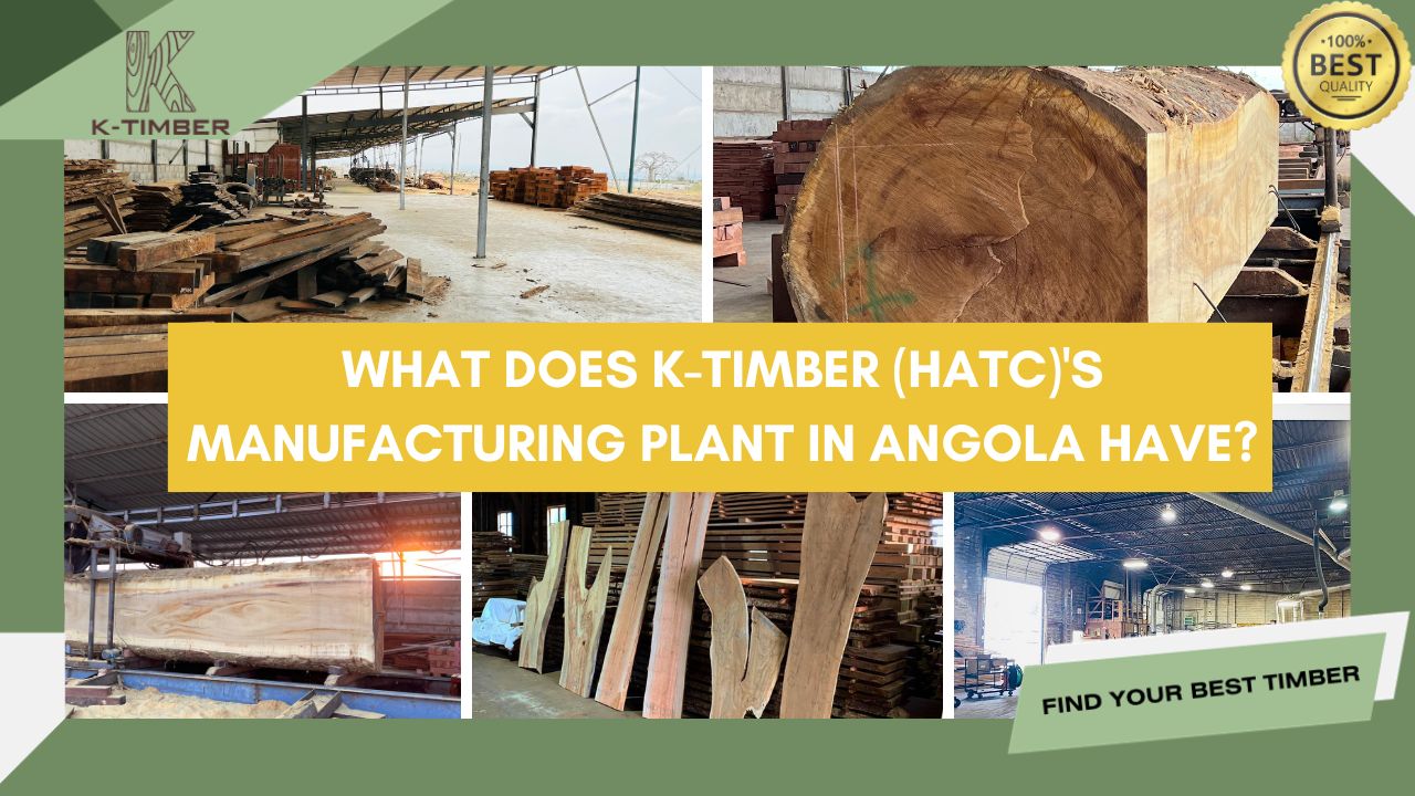 what-does-k-timber-hatc-manufacturing-plant-in-angola-have-1