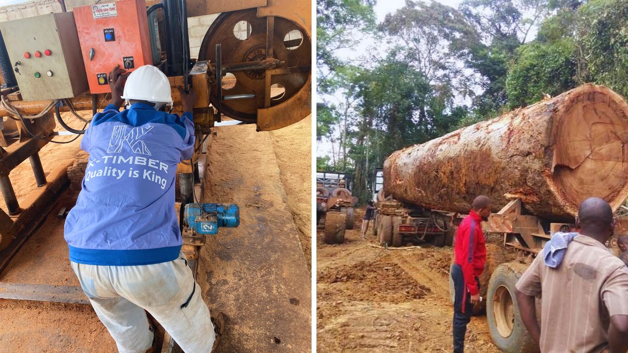 what-does-k-timber-hatc-manufacturing-plant-in-angola-have-8