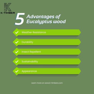 5-advantages-of-Eucalyptus-wood