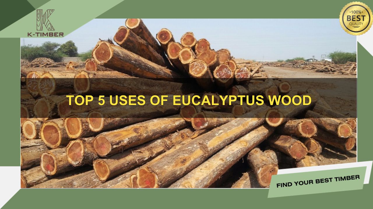 Top-5-Uses-of-Eucalyptus-Wood