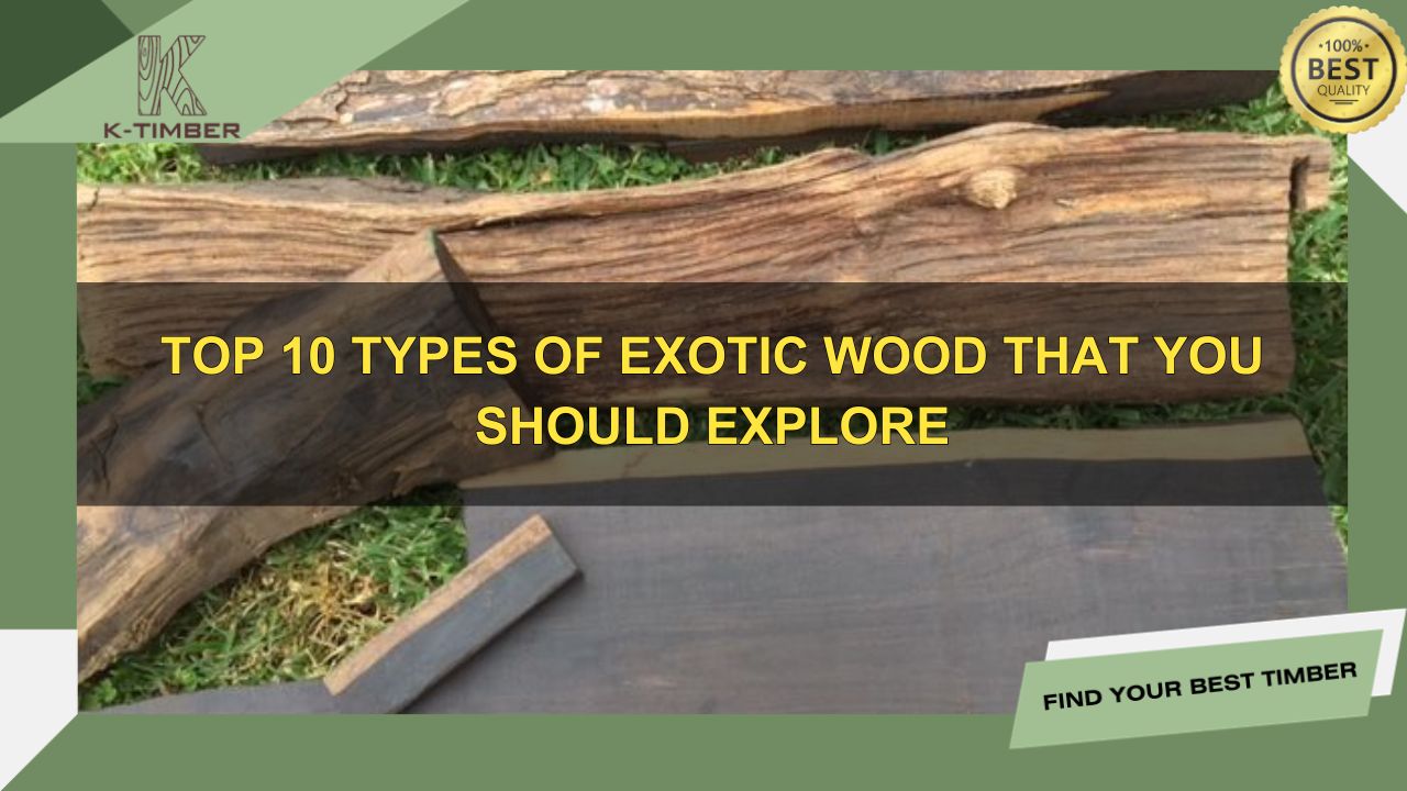 Top 10 Types of Exotic Wood That You Should Explore