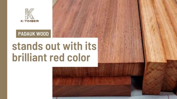 padauk-wood-vs-teak-wood-uses-advantages-and-disadvantages-2