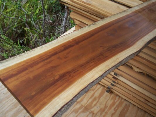 acacia-vs-eucalyptus-wood-which-is-better-for-your-outdoor-funiture-1