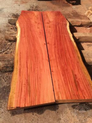 acacia-vs-eucalyptus-wood-which-is-better-for-your-outdoor-funiture-2