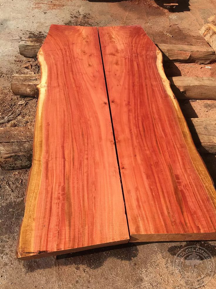 Acacia wood vs Eucalyptus wood Which is better for outdoor funiture?