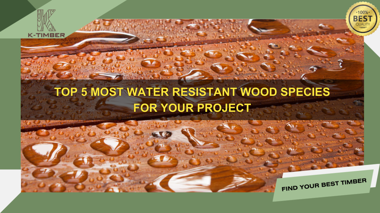 Top-5-Most-Water-Resistant-Wood-Species-for-Your-Project